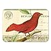 Cavallini & Co. Birds Magnet Set