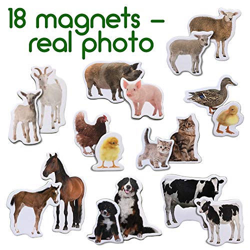 Magdum 18 BABY UND MUTTI BAUERNHOFTIERE Magnete Kinder für magnettafel - Magnet spielzeug kinder -Kühlschrankmagnete Kinder -Kühlschrank Magnete set Kinder -Spielzeug ab 3 jahre -Lernspiele ab 3 jahre – Bild 3