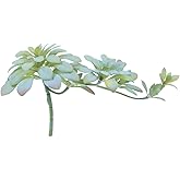 Holibanna Artificial Succulent Plants Indoor Realistic Faux Succulents Greenery Home Decoration 5.12X7.09X5.12 Inches for Living Room Office Wedding Photo Prop