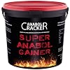 Super Anabol Gainer, Whey Protein Creatin Shake, 2400g Schoko Geschmack, Eiweißpulver, Taurin, Kreatin, Aminosäuren (Schoko)