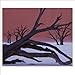 Art Wolfe: Travels to the Edge 2015 Wall Calendar