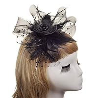 Qiupei Headdress Headdress Party Hat Ladies Fashion Banquet Creative Feather