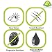 GreatShield (3 Pack) MERE Mark II Anti-Glare (Matte) Clear Hard Coating Screen Protector Film [Anti-Fingerprint | 3H Hardness] with Microfiber Cloth for BlackBerry Q10