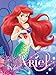 Disney Little Mermaid Sea Beauty Ariel 46x60 Micro Raschel Plush Throw