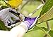 Gardening Gloves Women, 4 Pairs, Hypoallergenic, Nitrile Coated Garden Gloves Protect Against Cuts and Dirt, Breathable, Stretchable Nylon, Blue and Purple, Best for Garden, Household or Auto