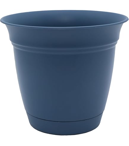 plants in white pots Alabaster White Ceramic Plant Pot with Removable Liner main image 0