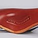 Brooks Saddles Men's Team Pro Bike Saddle