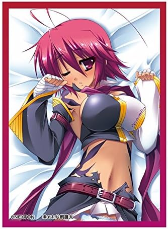 Amazon Nextonガールズスリーブコレクションvol 009 姫姫 夢想 呂布 恋 トレカ 通販