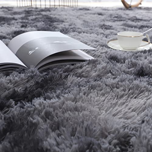 4X6 Feet Dark Gray Modern Area Rugs for Bedroom Living Room Ultra Soft Fluffy Throw Carpets for Girls Boys Kids Room Shaggy Fluffy Rugs (4X6Feet, Dark Gray)