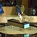 Nu-Flame Ardore Portable Tabletop Ethanol Fireplace1