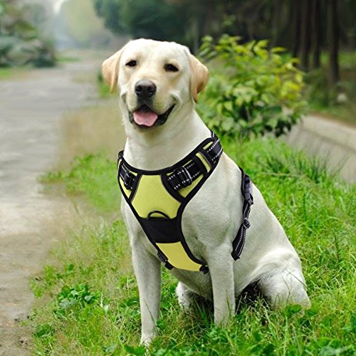 Rabbitgoo  Dog Harness No-Pull Pet Harness Adjustable Outdoor Pet Vest 3M Reflective Oxford Material Vest for Dogs Easy Control for Small Medium Large Dogs (Green, M)