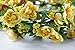 DreamLily Women's Flower Festival Wedding Hair Wreath Boho Floral Headband BC09(Yellow)