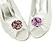ELEGANTPARK AM Women Rhinestones Decoration Wedding Party Shoe Clips 2 Pcs Red