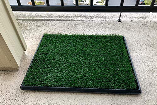 Pet Grass Pad with Tray, Artificial Turf Grass Pee Pad Potty Training for Indoor Outdoor Use, Washable Replacement Potty Mat for Dog (Green, 20''x30'')