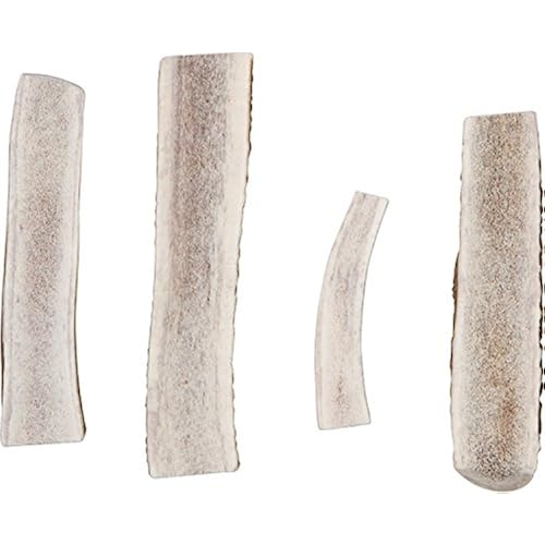 Pet Supplies, Dogs, Treats, Bones