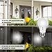 Dusk to Dawn Light Bulb 8W Auto On/Off Led Light Bulbs[Built-in Light Sensor][No Stroboscopic Effect] A19 E26 Base Security Lamp for Corridor Garden Garage Yard Porch Patio (5000K Natural White)