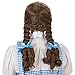 Over The Rainbow Adult Wig