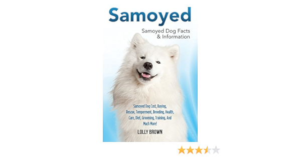 samoyed coat care