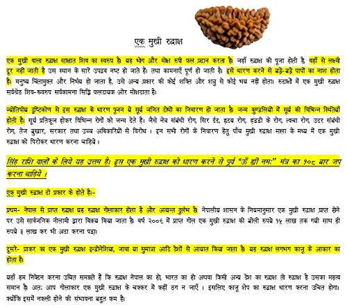 100% Original and Pure 1 Mukhi Rudraksha | one Faced Rudraksha | Half Moon Shaped One Mukhi Rudraksha | Half Moon Shaped 1 face Rudraksha Pendant with Silver Capping