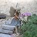 HOME-OUTDOOR Fairy Nancy Jean Garden, Lawn, Supply, Maintenance primary
