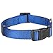 Blueberry Pet Essentials Small Dog Collar in Royal Blue | Adjustable & Eco-Friendly Durable Nylon Strap | Classic Collar for Small Dogs, Boy & Girl Pets