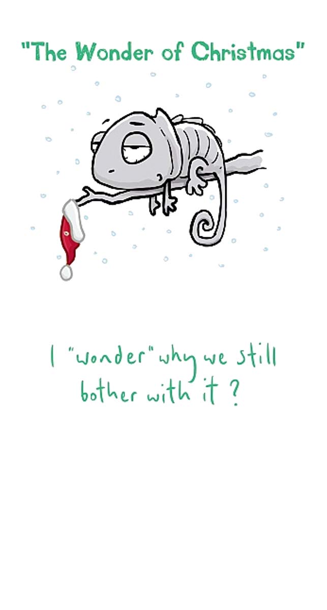 Sarcastic Christmas Cards - Generic, Funny & Rude Xmas Cards