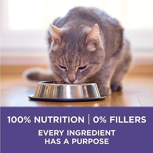 Purina ONE +Plus Dry Cat Food, Hairball Formula Chicken - 1.8 kg Bag