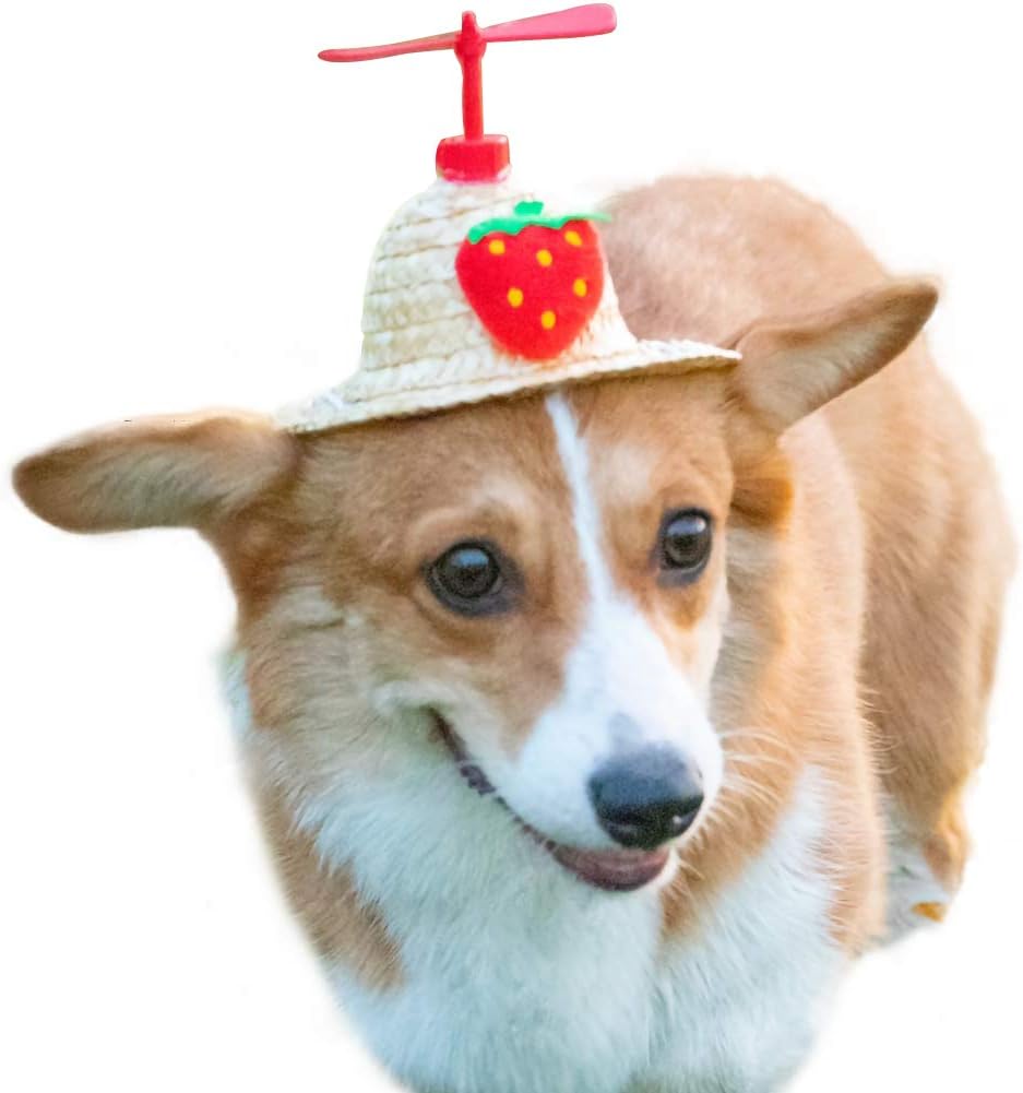 La La Pet Adjustable Cute Mini Pet Sombrero Dog Straw Hat