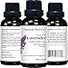 Natural Riches Aromatherapy Essential Oil Kit - Therapeutic Grade - Peppermint Essential Oil, Lavender Essential Oil & Tea Tree Essential Oil - Pack of 3-1 fl oz Each