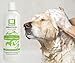Nootie Dog Shampoo with Soothing Aloe Best for All Pets Including Dogs, Cats, and Horses - 100% All Natural Deodorizing Soap Free Formula - Clear, 16 Fl Oz (Pack of 1), SAO16