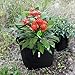 OPULENT SYSTEMS 5-Pack 10 Gallon Heavy Duty Aeration Fabric Grow Bags Thickened Nonwoven Fabric Containers for Potato/Plant Pots with Handles (Black)