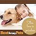 Best For My Pets Tripe Sticks for Dogs (5-Inch, 6-Ounce) Great for Puppies, Senior and Small Dogs All-Natural Rawhide-Free Dog Treats Bladder Sticks Chews