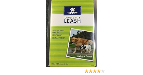 miniature cocker poodle