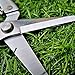 Pruning Shears Straight Tip Pruning Trimming Scissors Florist Scissors-Stainless Steel Ultra Sharp Multi-Purpose Hand Pruner Scissors for Garden Harvesting Fruits Vegetables, Trimming Flowers,Silverythumb 4
