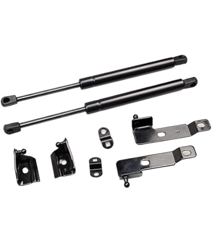 Amazon.com: TSUBASA Dampers for Toyota Mark X X130 2009-2019