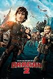 How to Train your Dragon 2 Poster 24 x 36in