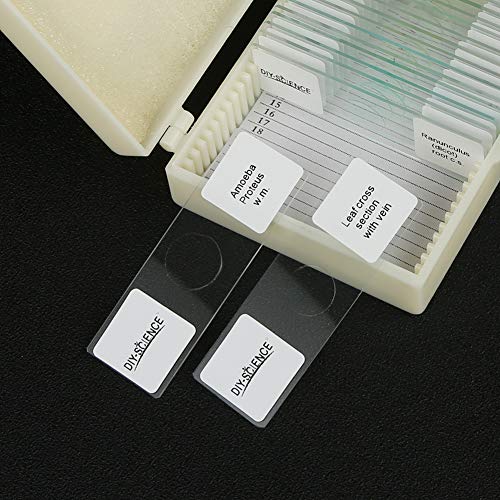 2 Prepared+Apologia+Specifically+Specimens+DIY+SCIENCE