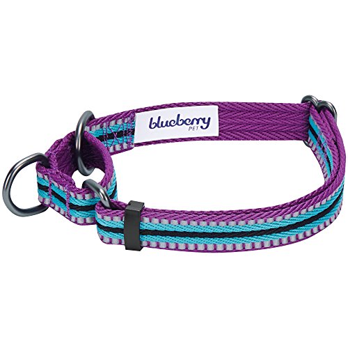 image for Blueberry Pet 8 Colors 3M Reflective Multi-colored Stripe Safety Train