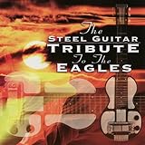 The Steel Guitar Tribute To the Eagles