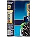 BUSH'S BEST Canned Black Beans (Pack of 6), Source of Plant Based Protein and Fiber, Low Fat, Gluten Free, 39 oz