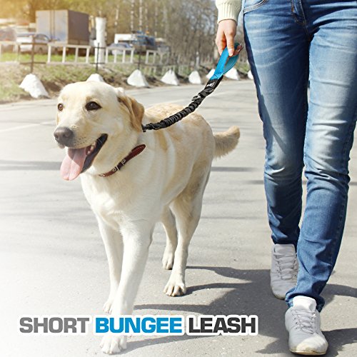 3 in 1 Short Dog Leash - Shock-Absorbing Bungee with Padded Handle that Can Be Used as Elastic Attachment for Your Regular Leash, Control Handle, or Traffic Leash – Suitable for Medium and Large Dogs - Thumbnail 3