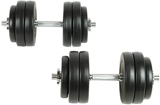 vidaXL Juego de Pesas 30kg Mancuernas Fitness Musculación ...