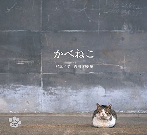 かべねこ 吉田 裕吏洋 本 通販 Amazon