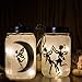 Fairy Lantern Craft Kit - DIY Fairy Lights (2 Pack) - Art Crafts for Girls Party - Children Toy Gift Set Kits - Make Your Own Hanging Lanterns - LED Kid Projects Idea