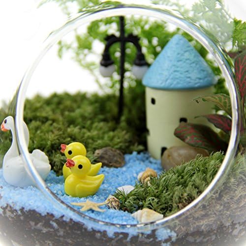 Moss Micro Landscape Combination Kit Plant Ecology Bottle Bottle Office Desktop Green Flower Floral Belt Creative Gift Jelly Bottles Finished