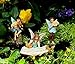 PRETMANNS Fairy Garden Fairies Miniature Accessories 3 Pieces: Boy Fairies Playing Musical Instruments & Fairy Reading a Music Book Multicolored