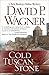 Cold Tuscan Stone (Rick Montoya Italian Mysteries Book 1)