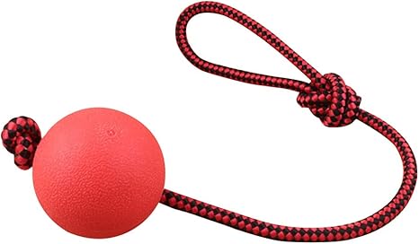 POPETPOP Ball and Rope Dog Toy-Dog Ball 
