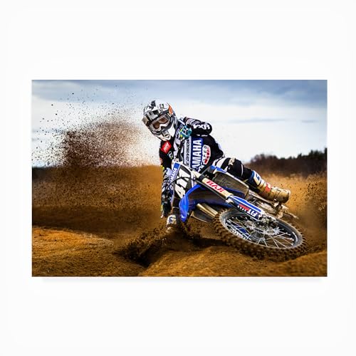 Trademark Fine Art Outdoor Canvas Art - Attila Szabo 'Desert King' Wall Art for…