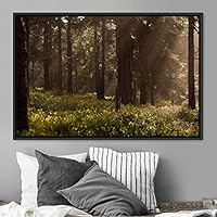 Framed Canvas Wall Art Rustic Woods Brown Dark Dramatic Forest Group Nature Photography Realism - 16x24 inches